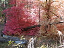 photo thumbnail #15
