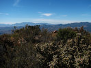 photo thumbnail #7