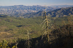photo thumbnail #12