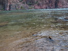 photo thumbnail #15