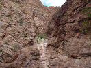 photo thumbnail #12