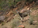 photo thumbnail #14