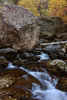 photo thumbnail #2