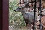 photo thumbnail #14