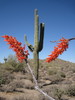 photo thumbnail #3