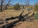 photo thumbnail #5