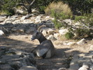photo thumbnail #1