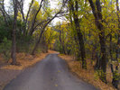 photo thumbnail #12