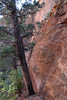 photo thumbnail #10