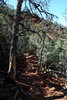photo thumbnail #11