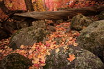 photo thumbnail #7