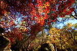 photo thumbnail #9