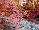 photo thumbnail #11