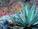 photo thumbnail #13