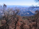 photo thumbnail #11
