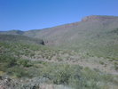 photo thumbnail #2