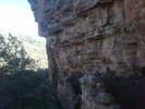 photo thumbnail #8