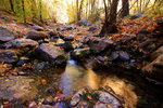 photo thumbnail #1