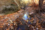 photo thumbnail #10