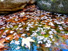 photo thumbnail #11