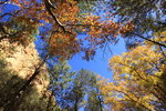 photo thumbnail #14