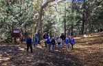 photo thumbnail #4