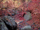 photo thumbnail #8