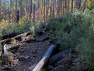 photo thumbnail #11