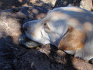 photo thumbnail #12