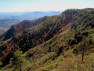 photo thumbnail #14