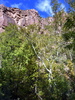 photo thumbnail #14