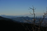 photo thumbnail #15
