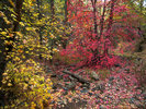 photo thumbnail #11