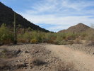 photo thumbnail #6