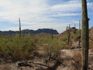 photo thumbnail #10