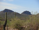 photo thumbnail #12