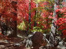 photo thumbnail #6