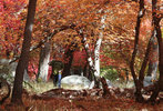 photo thumbnail #8