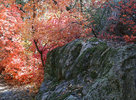 photo thumbnail #13
