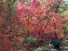 photo thumbnail #14