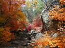 photo thumbnail #15