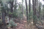 photo thumbnail #3
