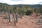 photo thumbnail #5