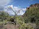 photo thumbnail #1