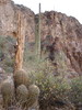 photo thumbnail #5