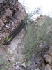 photo thumbnail #11