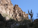 photo thumbnail #12