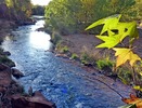 photo thumbnail #14