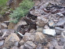photo thumbnail #11