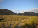 photo thumbnail #1